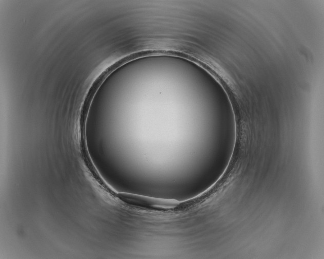 X0000113000980200908271343