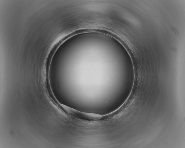 X0000113000982200908271343