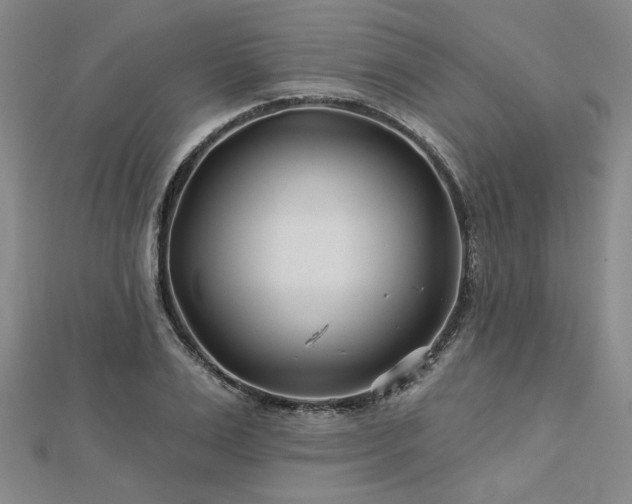 X0000113000983200908271343