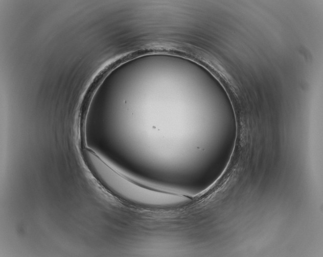 X0000113000984200908271343