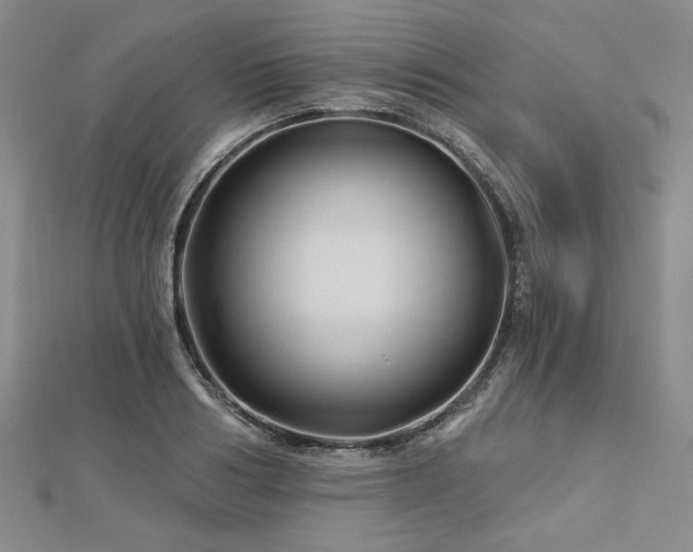 X0000113000986200908271343