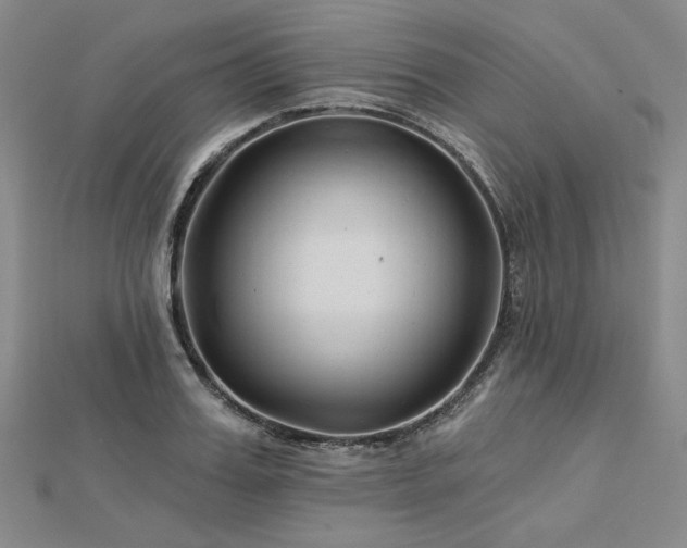 X0000113000987200908271343