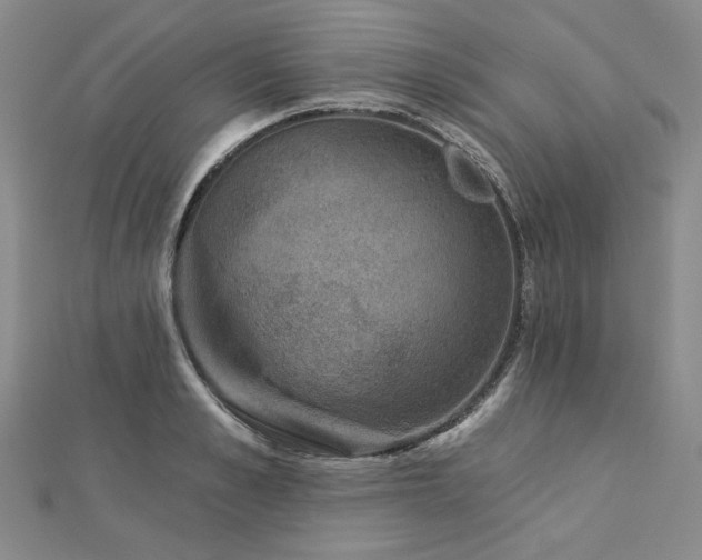 X0000113000989200908271343