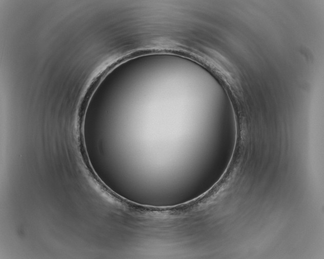 X0000113000990200908271343