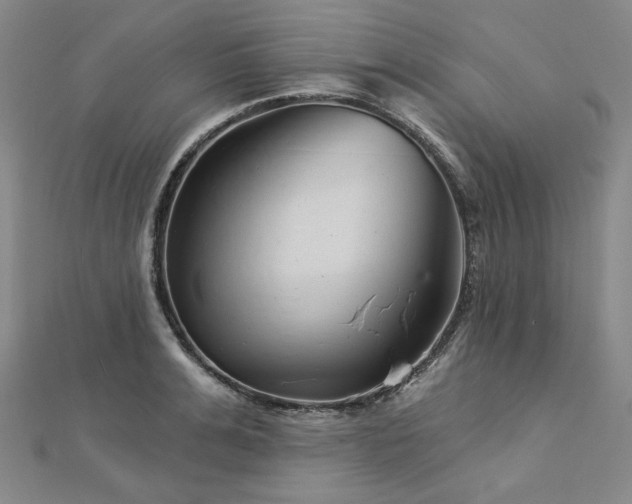 X0000113000991200908271343
