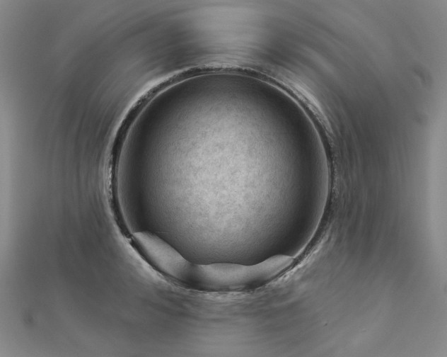 X0000113000992200908271343