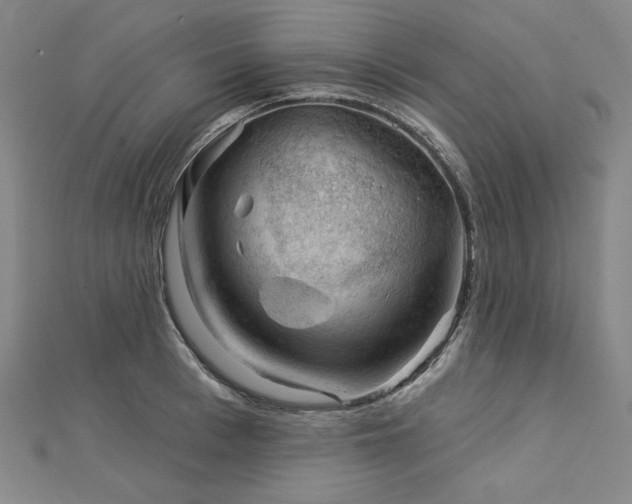 X0000113000993200908271343