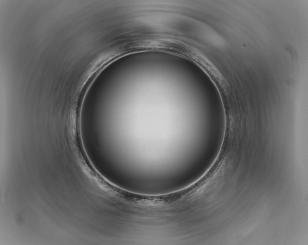 X0000113000994200908271343