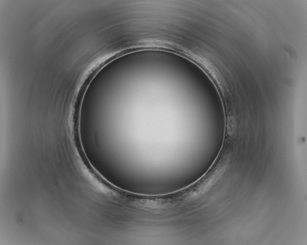 X0000113000995200908271343