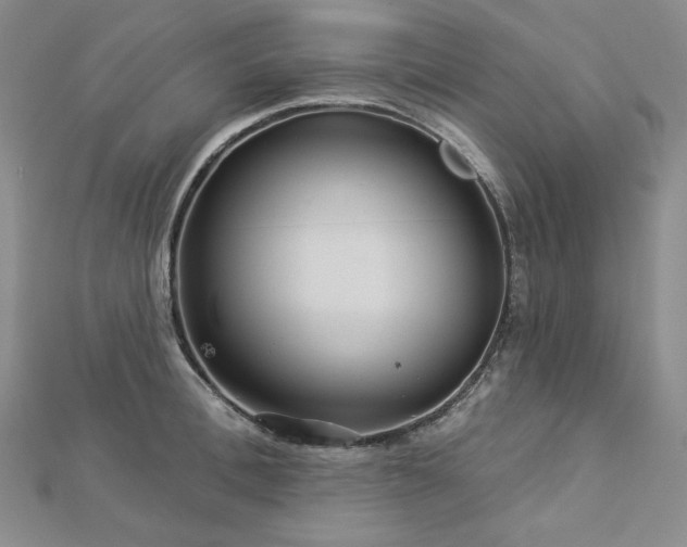 X0000113000996200908271343
