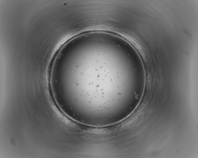 X0000113000998200908271343
