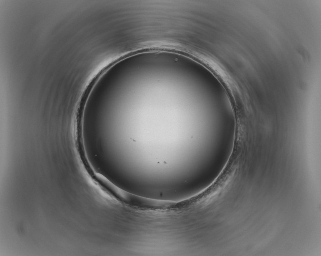 X0000113000999200908271343