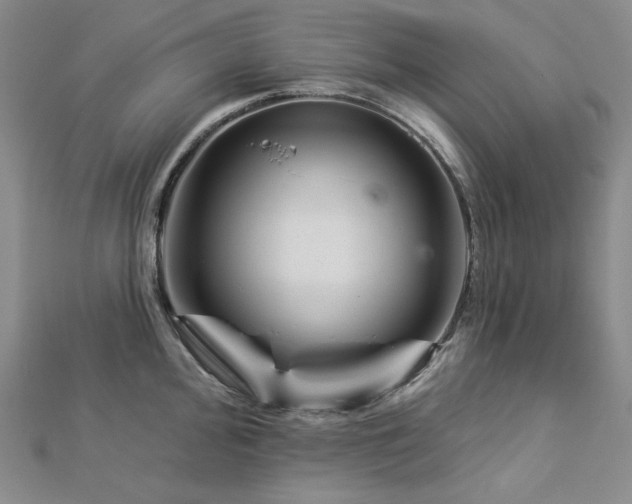 X0000113001000200908271343