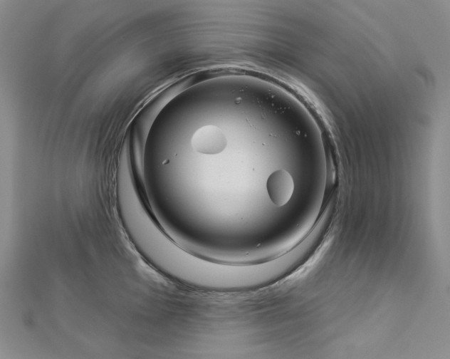 X0000113001001200908271343