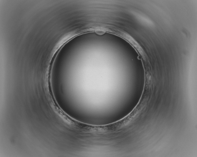 X0000113001002200908271343