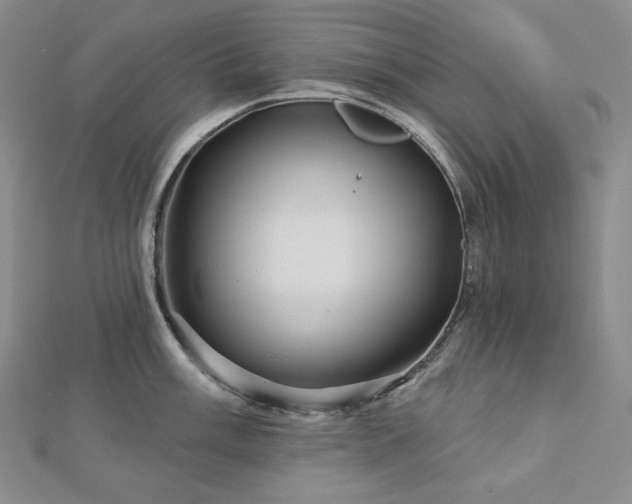 X0000113001003200908271343