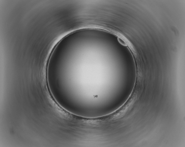 X0000113001004200908271343