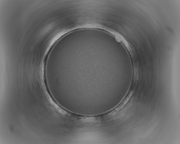 X0000113001006200908271343