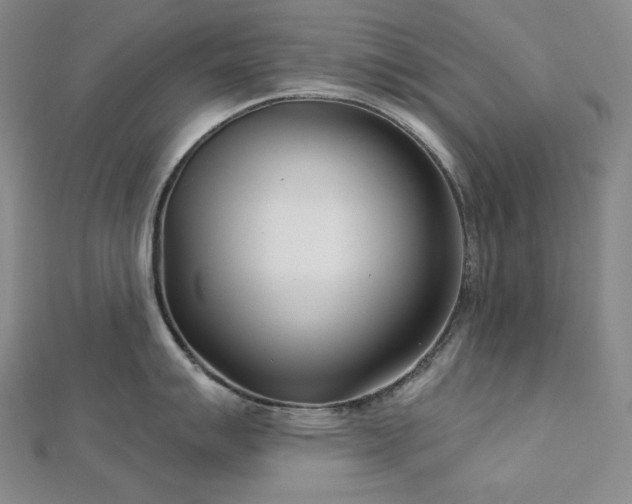 X0000113001007200908271343