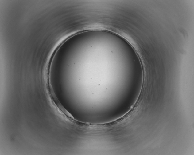 X0000113001008200908271343