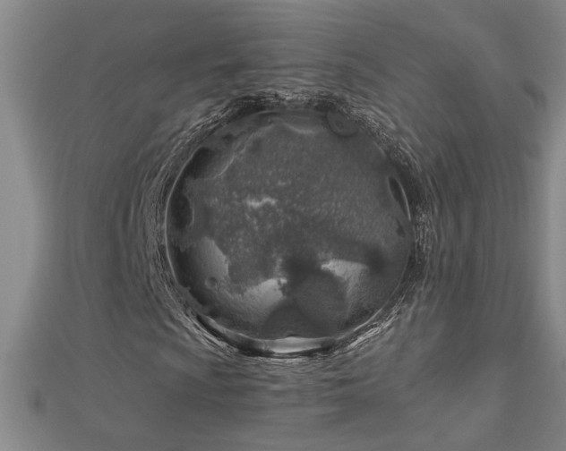 X0000113001009200908271342