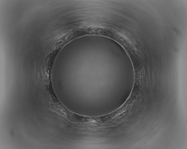 X0000113001013200908271342