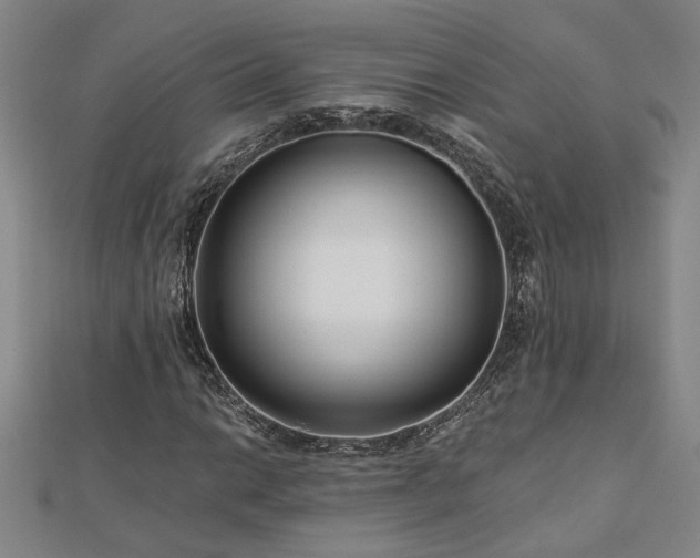 X0000113001014200908271342
