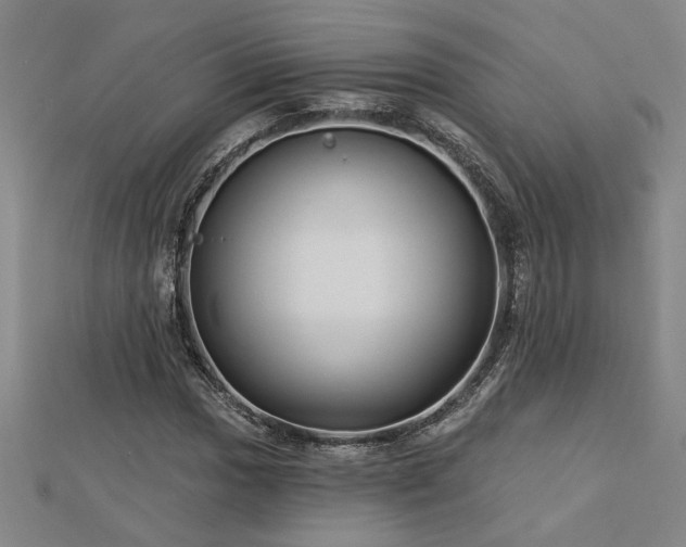 X0000113001017200908271342