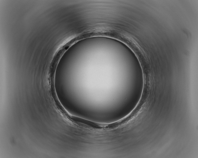 X0000113001018200908271342
