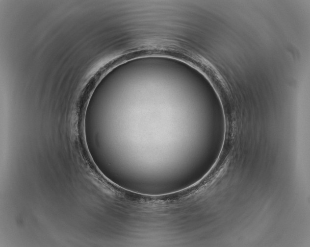 X0000113001019200908271342
