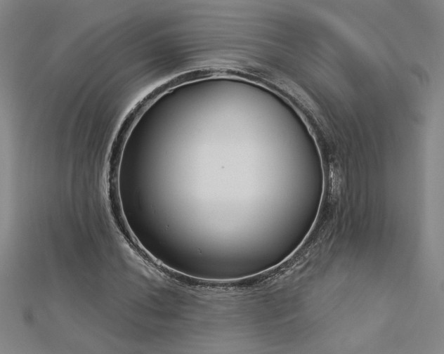 X0000113001020200908271342