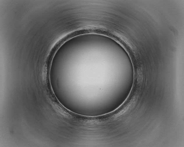 X0000113001021200908271342