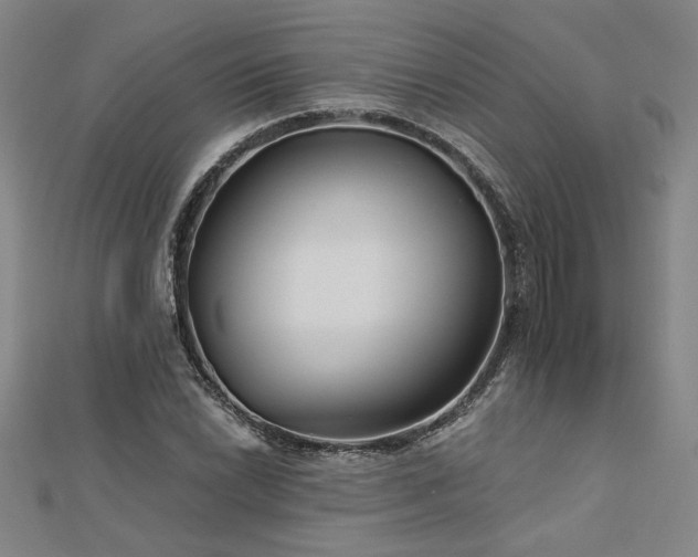 X0000113001022200908271342