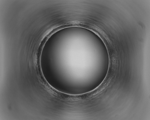 X0000113001023200908271342