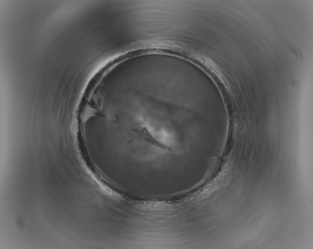 X0000113001024200908271342