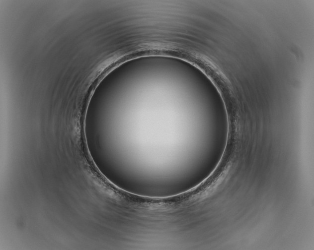 X0000113001025200908271342