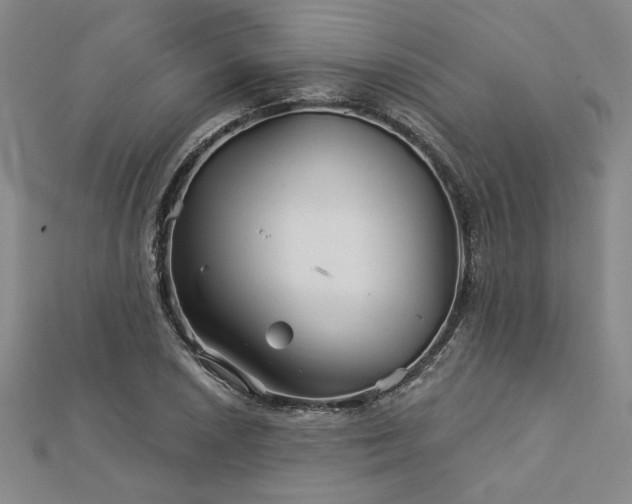 X0000113001026200908271342