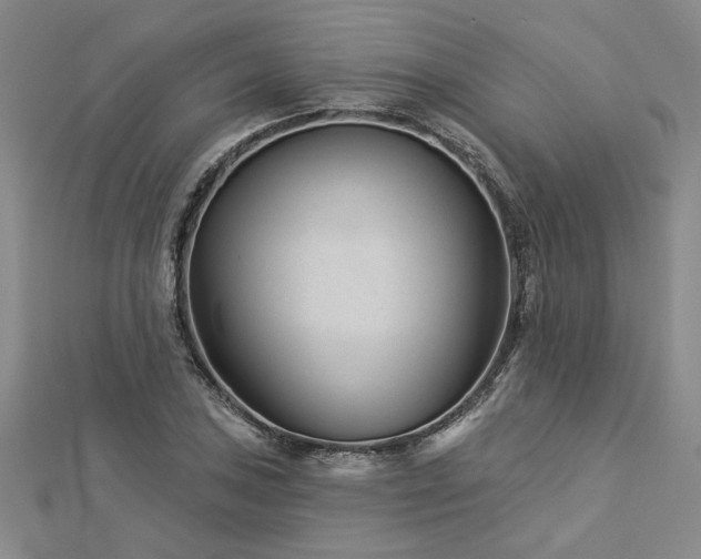 X0000113001027200908271342