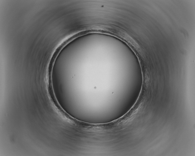 X0000113001028200908271342