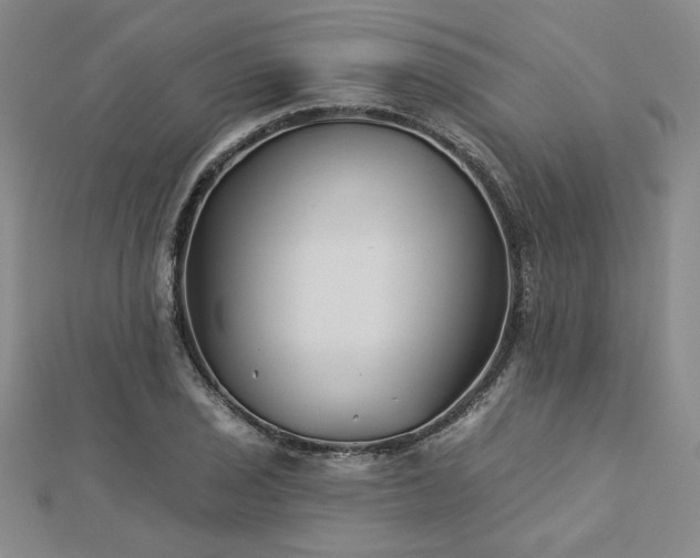 X0000113001029200908271342