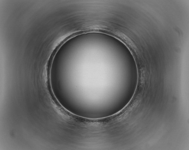 X0000113001031200908271342