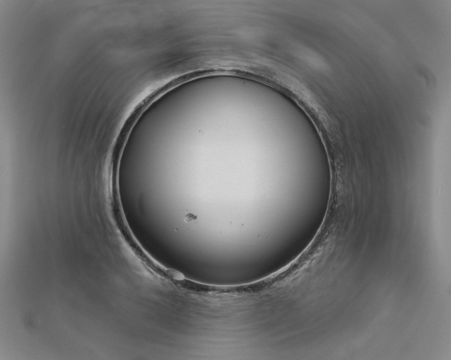 X0000113001032200908271342