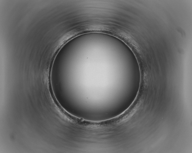 X0000113001033200908271342