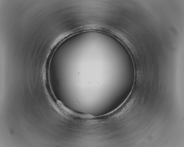 X0000113001034200908271343