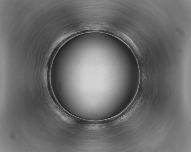 X0000113001035200908271343
