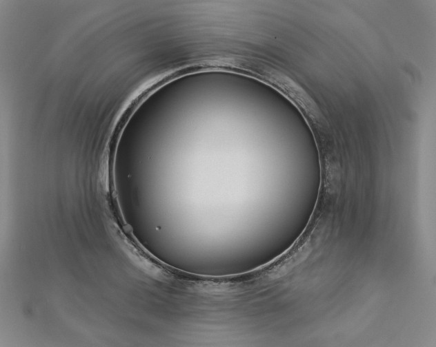 X0000113001036200908271343