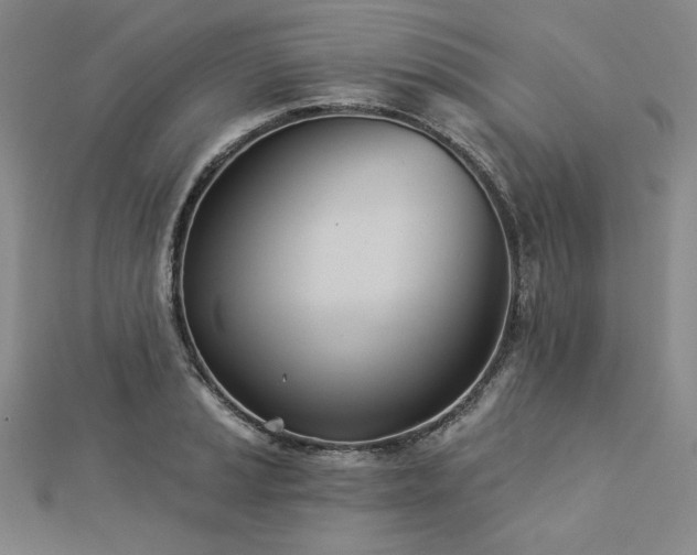 X0000113001037200908271343