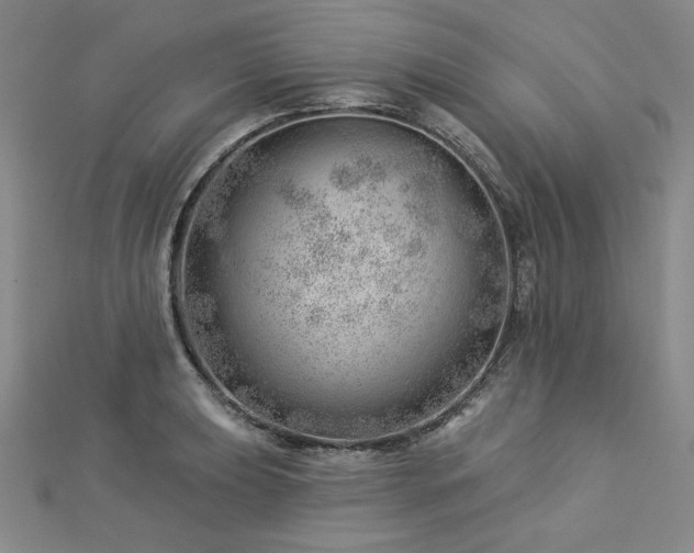 X0000113001039200908271343