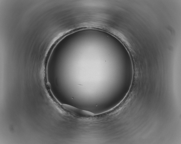X0000113001040200908271343