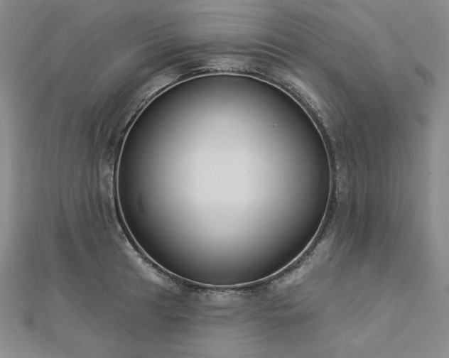 X0000113001041200908271343